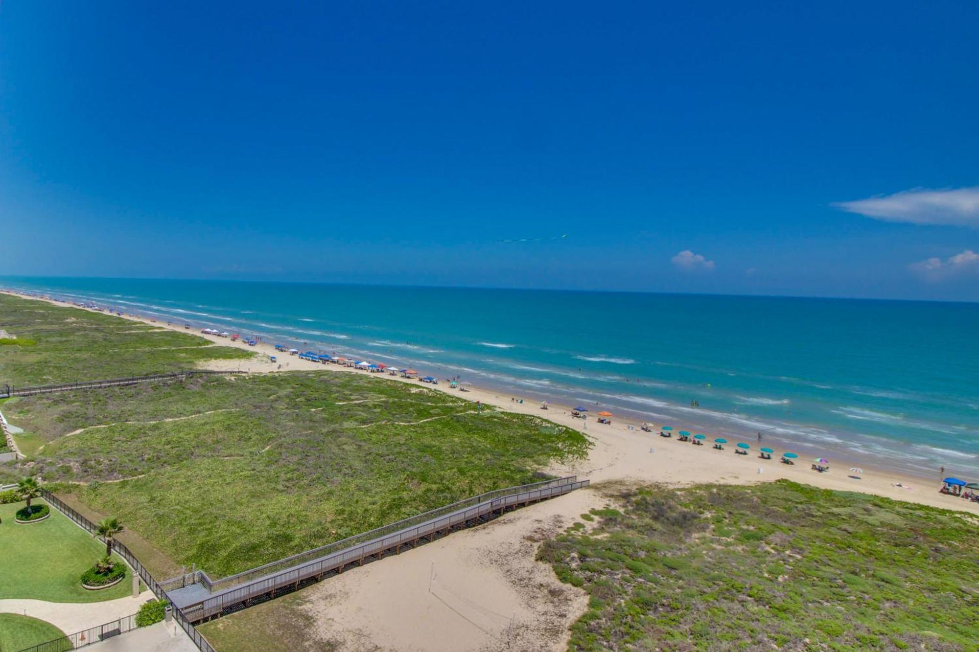 Ocean Vista #1101 Lägenhet South Padre Island Exteriör bild